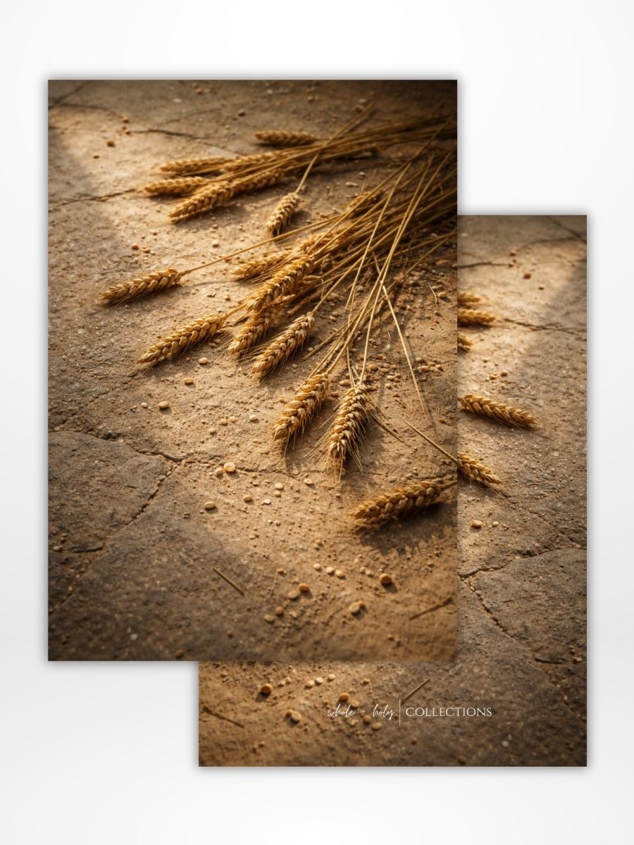 Threshing Floor Dashboard (A5)