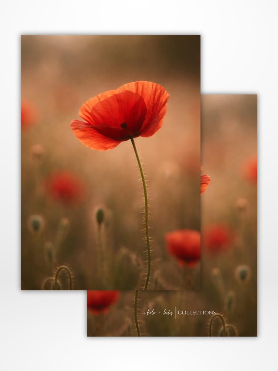 Poppy Dashboard (A5)