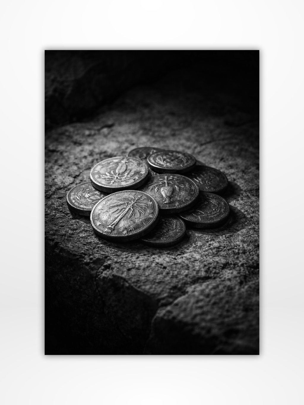 Stewardship Collection Bundle