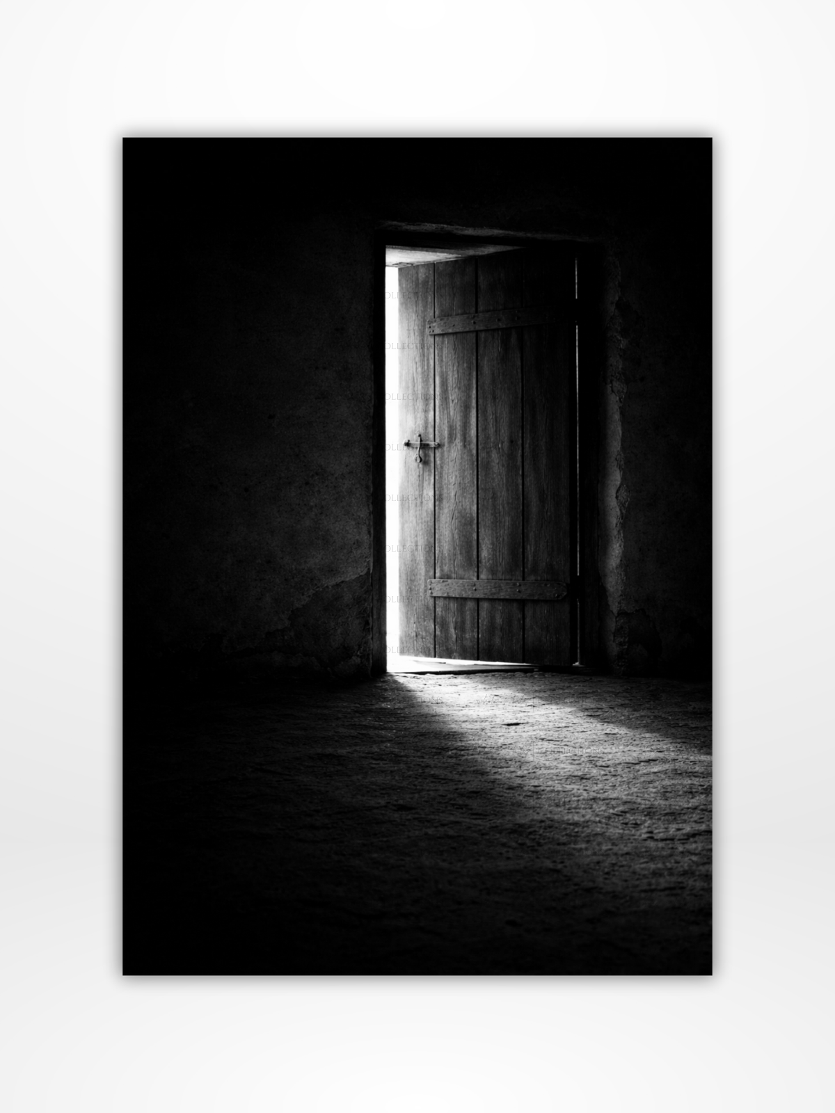 Stewardship Collection Bundle