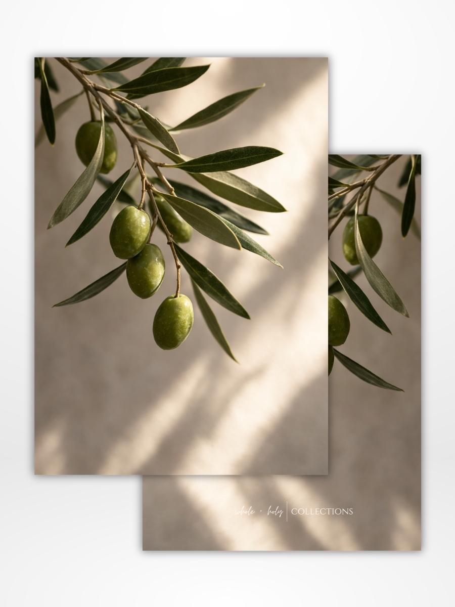 Olive Branch Dashboard (A5)