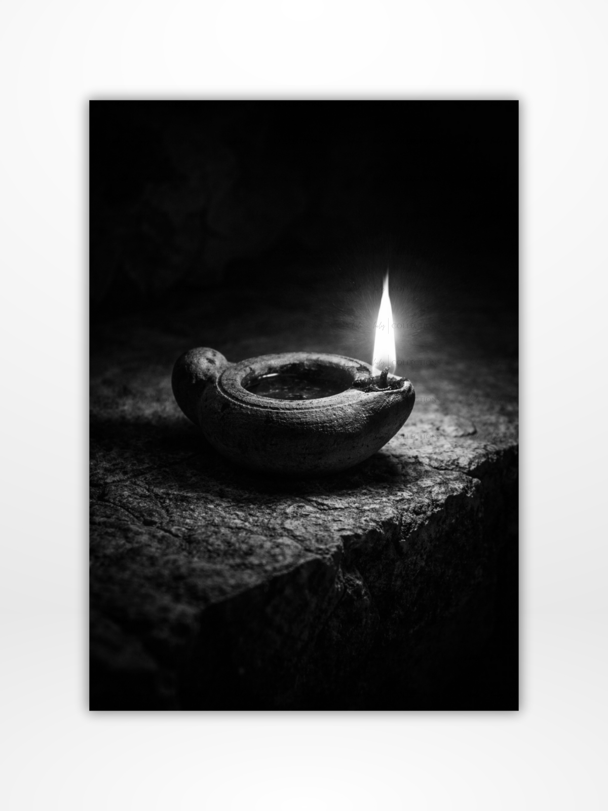 Stewardship Collection Bundle