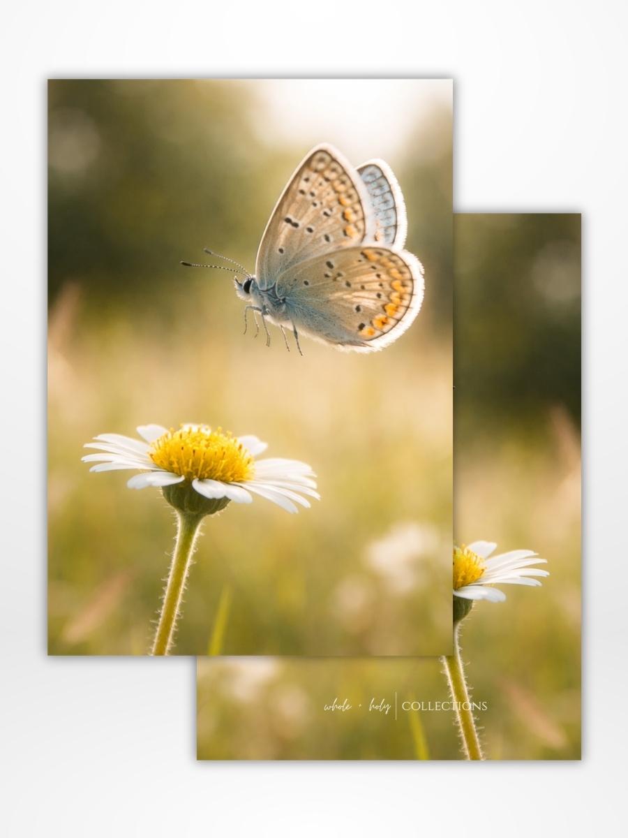 Common Blue Dashboard: Digital Download (A5 Printable)