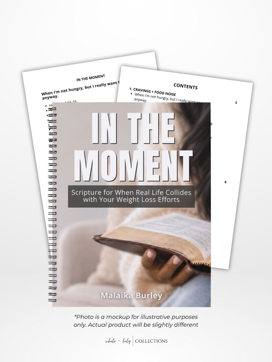 **PREORDER** In the Moment: Scripture Reference Guide