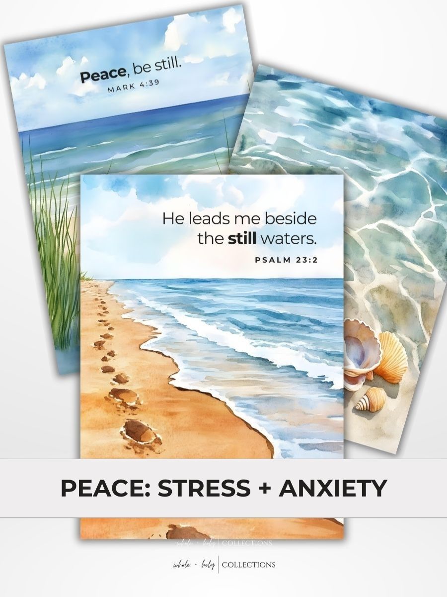 **PREORDER** Loaded Bible Expansion Kits