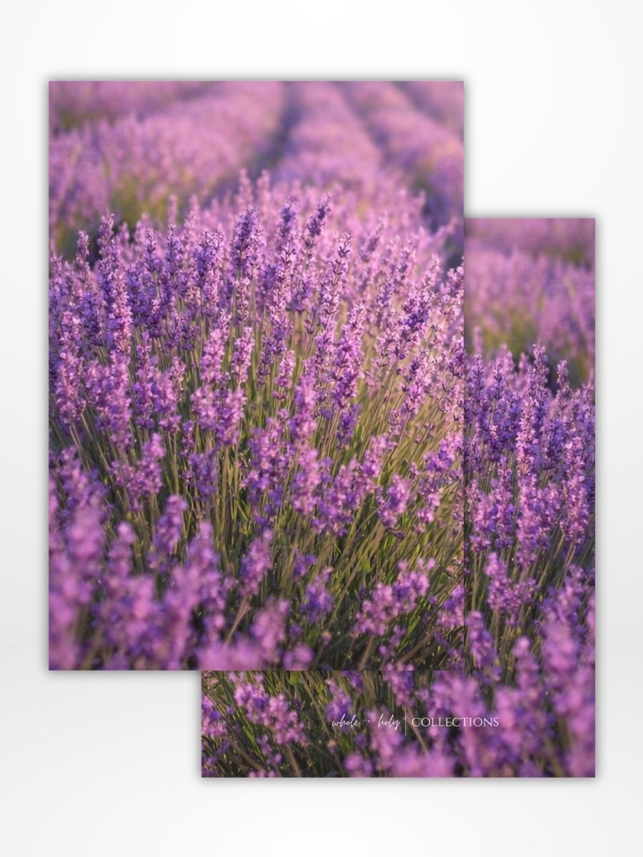 Purple Reign Dashboard: Digital Download (A5 Printable)