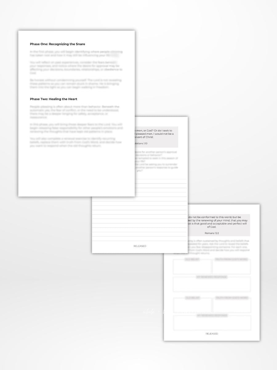 *PREORDER* Released Journal Insert (A5)