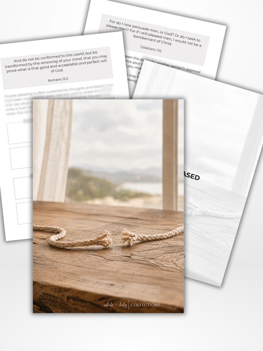 *PREORDER* Released Journal Insert (A5)