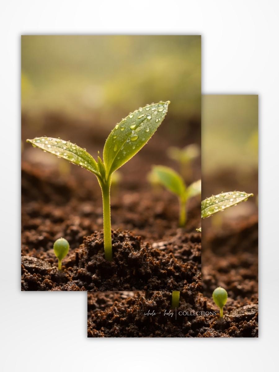 Spring Forth Dashboard: Digital Download (A5 Printable)