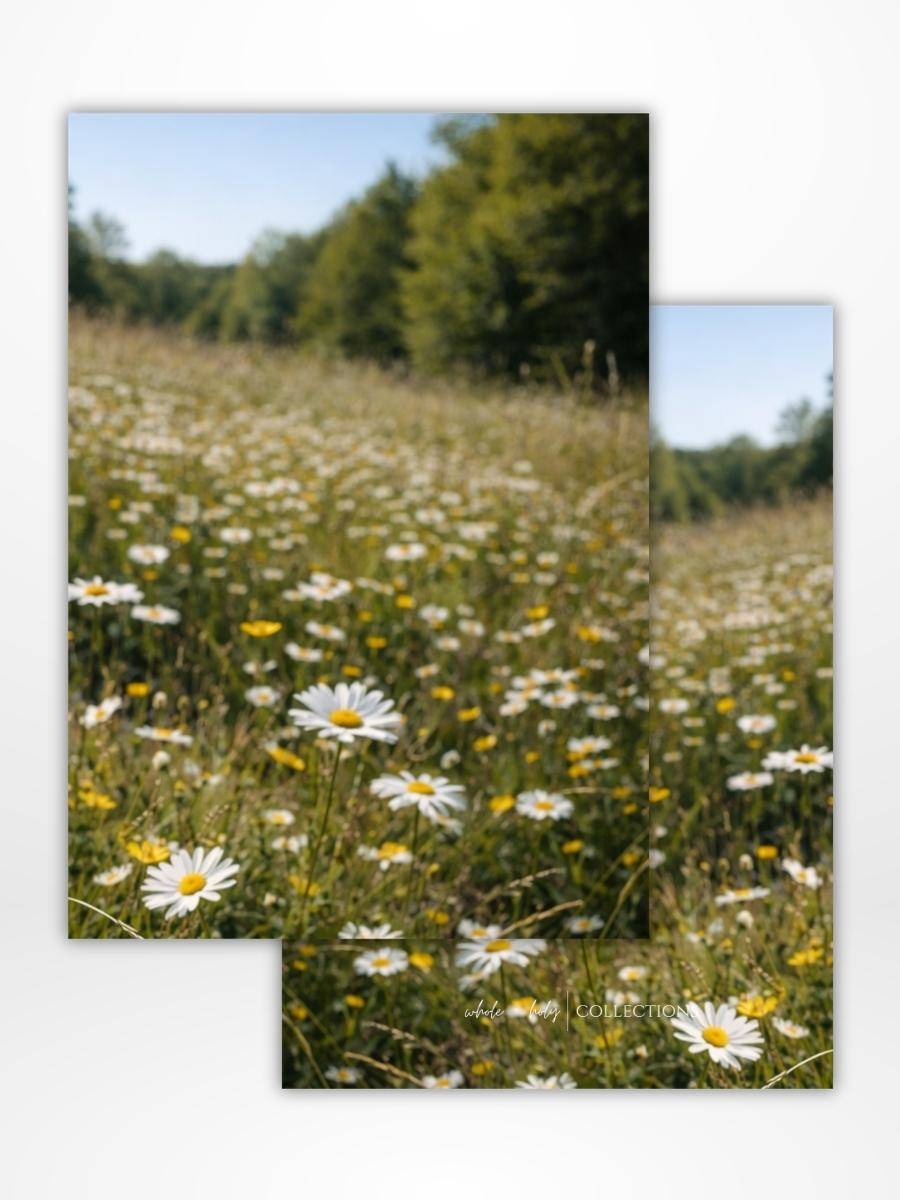 Wild Flowers Dashboard: Digital Download (A5 Printable)