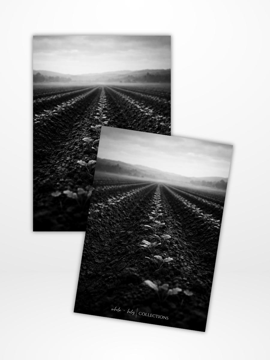 Faithful Cultivation Dashboard (A5)