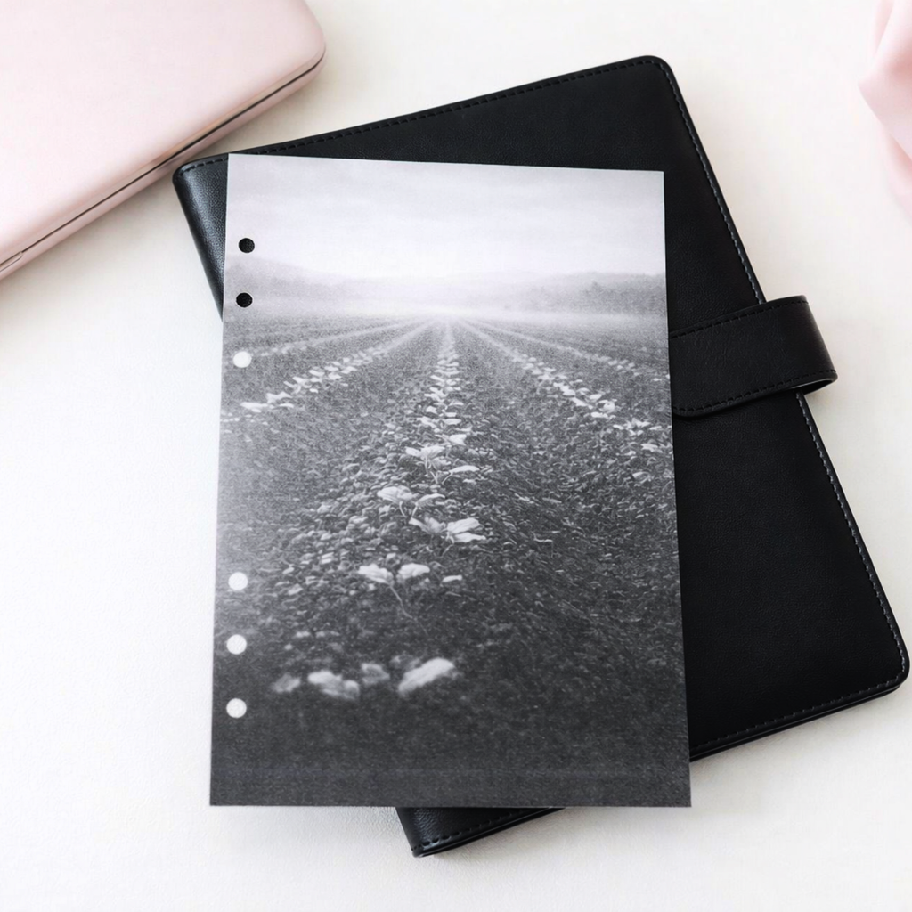 Stewardship Collection: Faithful Cultivation Dashboard (A5)